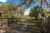 12355 Doris Road - Photo 4