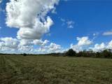  Wauchula Road - Photo 4