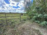  Wauchula Road - Photo 8