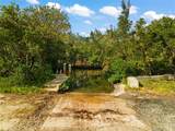 445 Horseshoe Loop Road - Photo 61
