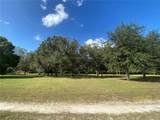 TBD 79th Street - Photo 3