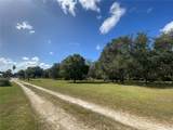 TBD 79th Street - Photo 4