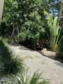 2933 Maiden Lane - Photo 30