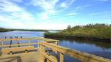 9623 Sea Turtle Terrace - Photo 55