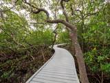 660 Gulf Bay Road - Photo 14