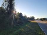 17295 Wintergarden Avenue - Photo 3