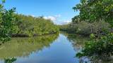 3858 Casey Key - Photo 51