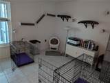 3833 Easton Street - Photo 12
