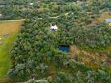 9796 Southern Dreams Road - Photo 47