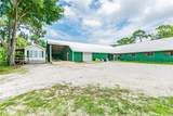 1101 Anclote Boulevard - Photo 11
