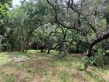 1101 Anclote Boulevard - Photo 8