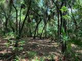 1101 Anclote Boulevard - Photo 9