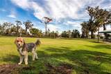 4304 Fly Rod Terrace - Photo 96