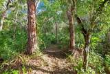 1343 Ranchero Drive - Photo 6