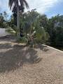 5032 Calle Minorga - Photo 14