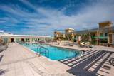 800 Tamiami Trail - Photo 40