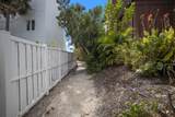 501 Reclinata Drive - Photo 61