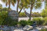 501 Reclinata Drive - Photo 76