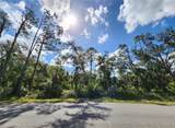 Lot 4 Jagust Road - Photo 2