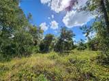 Lot 4 Jagust Road - Photo 20