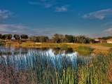 375 Fairway Isles Lane - Photo 66