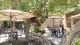 691 Linley Street - Photo 74