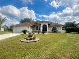 503 Philodendron - Photo 1