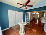 503 Philodendron - Photo 15
