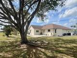 503 Philodendron - Photo 2