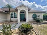 503 Philodendron - Photo 3