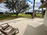503 Philodendron - Photo 39