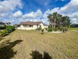 503 Philodendron - Photo 41