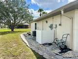 503 Philodendron - Photo 42