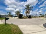 503 Philodendron - Photo 44