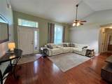 503 Philodendron - Photo 5