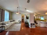 503 Philodendron - Photo 6