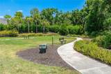 3008 Tolmino Court - Photo 63