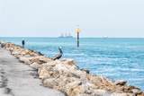 618 Bird Bay Drive - Photo 42