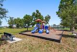 25259 Alcazar Drive - Photo 39