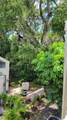 2204 Bahia Vista Street - Photo 8