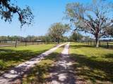 15101 Rawls Road - Photo 3