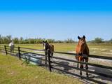 15101 Rawls Road - Photo 4