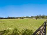 15101 Rawls Road - Photo 42
