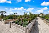 10240 Beach Dune Drive - Photo 82