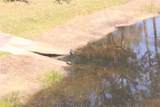 2060 Willow Hammock Circle - Photo 31
