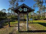 9031 Hilolo Lane - Photo 46