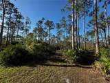 9031 Hilolo Lane - Photo 49
