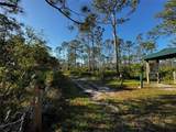 9031 Hilolo Lane - Photo 51