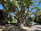 111 Pass Key Road - Photo 22