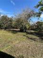 50 Palm Drive - Photo 24